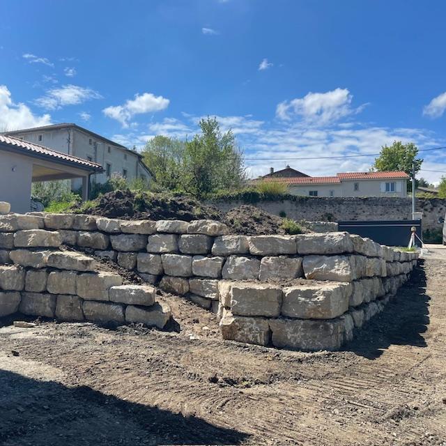 IMG_3239 (1) IMG_3239 (1)