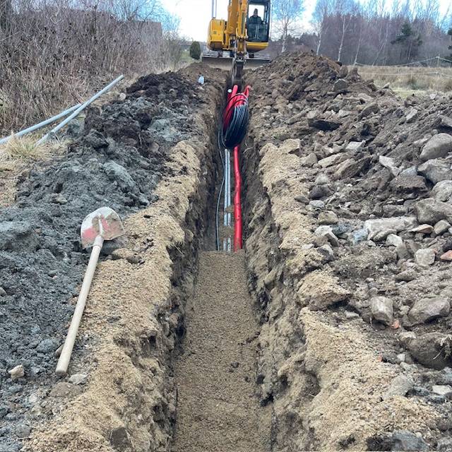 IMG_2851 (1) IMG_2851 (1)